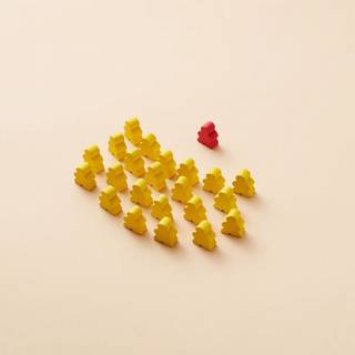 少数