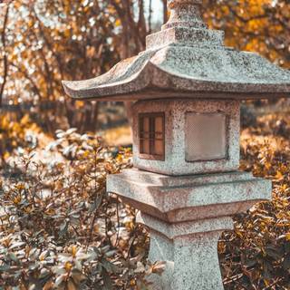 趣
