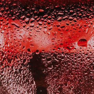 水気