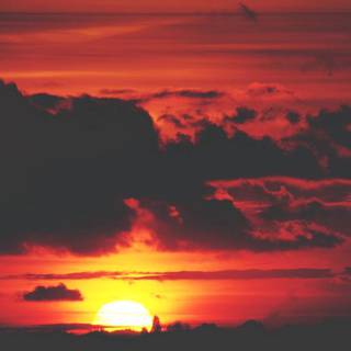 夕焼け