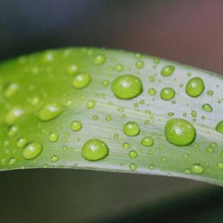 水分
