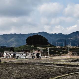 地方