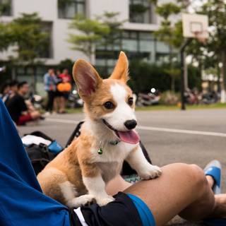 側