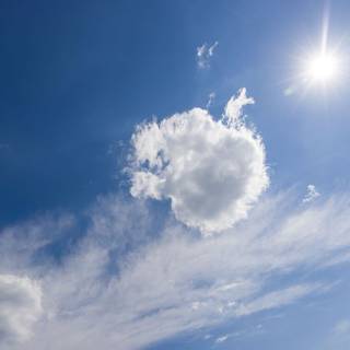 太陽