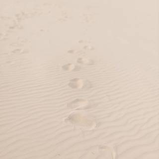 跡