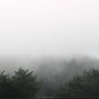 霧