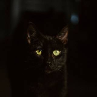 黒