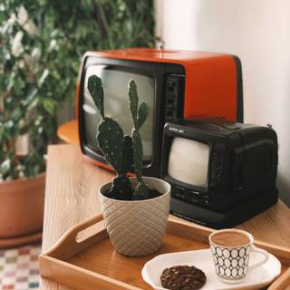 テレビ