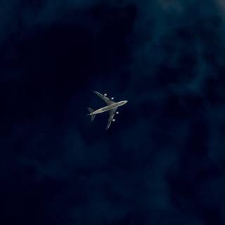 飛行機