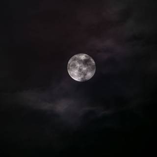 昨夜